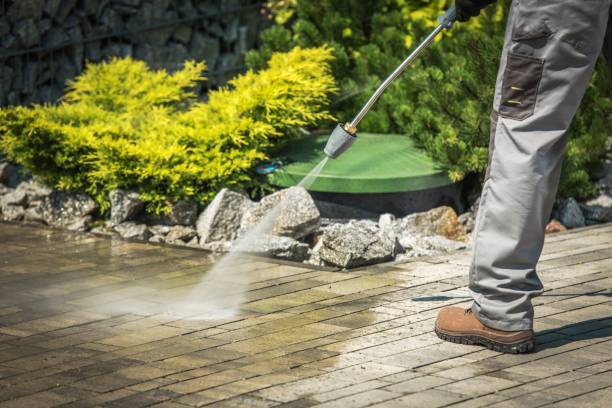 Best Spring Cleaning  in Colonia, NJ
